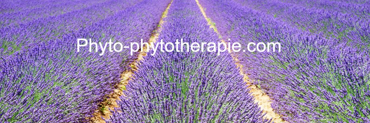 phyto-phytotherapie.com